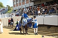 VBS_0910 - Palio di Asti 2024